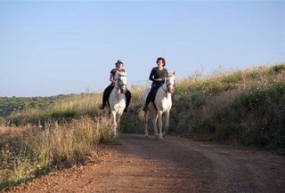 Paseo a caballo